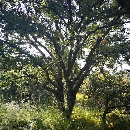 El Rincon De Tus Suenos * إل إيسبينار