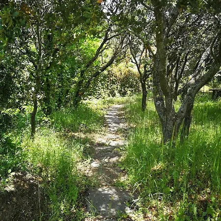 El Rincon De Tus Suenos *