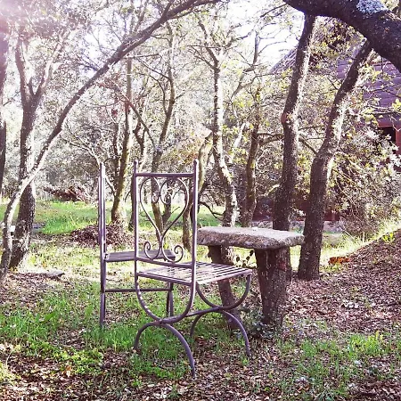 Chalet El Rincon De Tus Suenos *