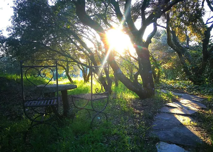 El Rincon De Tus Suenos 샬레