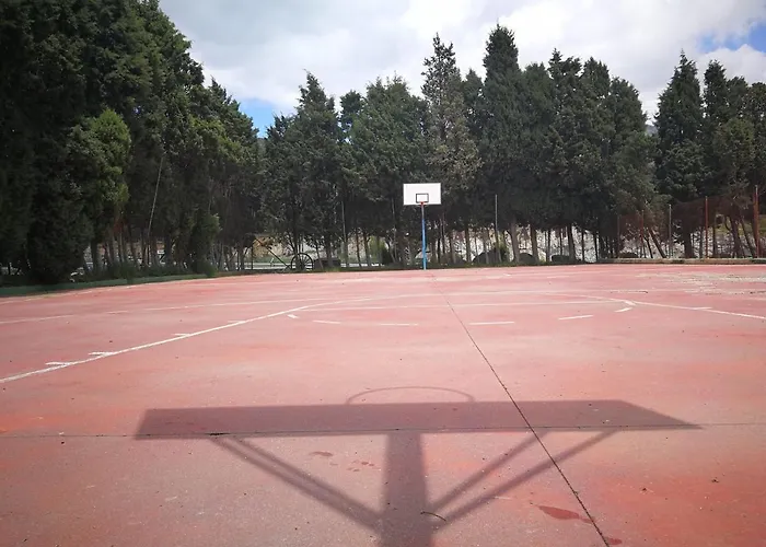 El Rincon De Tus Suenos * 엘에스피나르