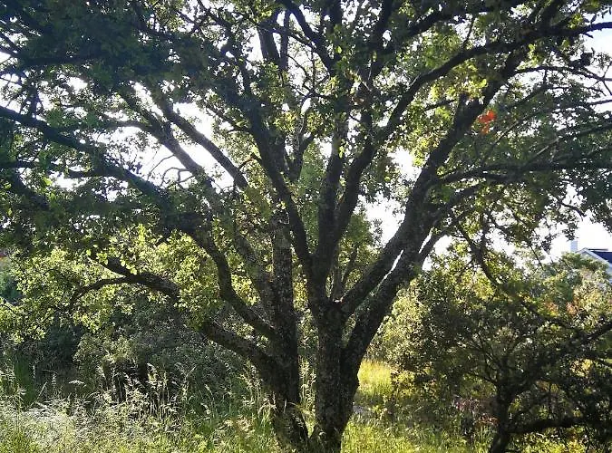 El Rincon De Tus Suenos * El Espinar