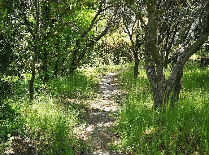 El Rincon De Tus Suenos *