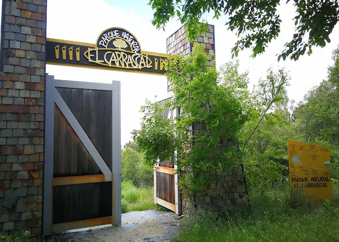 Chalet El Rincon De Tus Suenos El Espinar